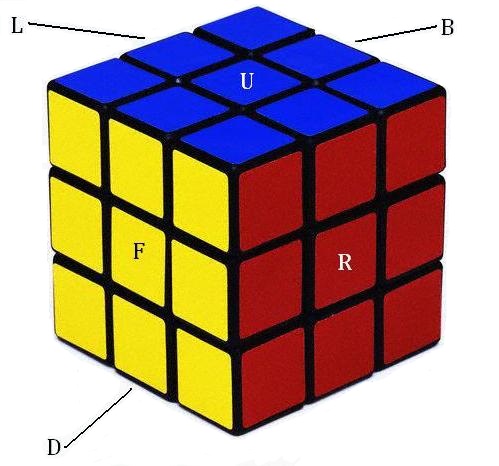 2D representation of a Rubik's cube help understand how the faces are  related to one another and how face turns impact individual squares. :  r/educationalgifs